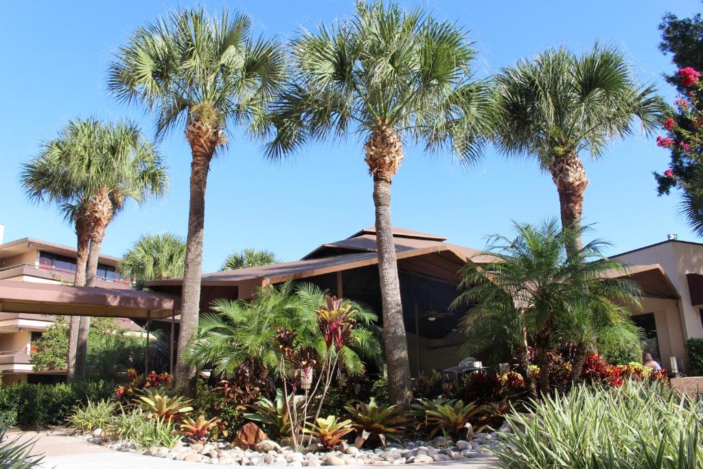Rosen Inn at Pointe Orlando - Sun Tours Orlando