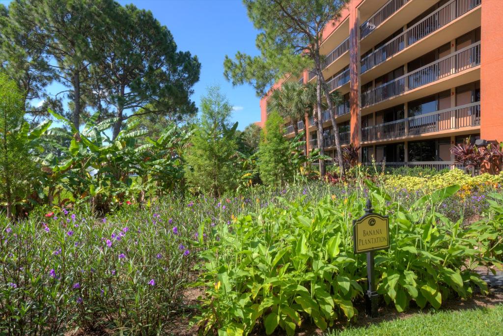 Rosen Inn Lake Buena Vista - Sun Tours Orlando