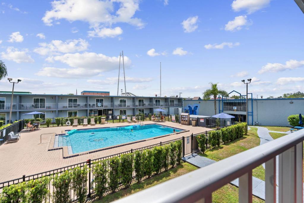 Celebration Suits - Sun Tours Orlando