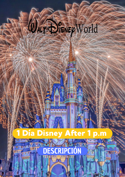1 DIA DISNEY INGRESO 1 PM - CLIC EN EL BOTON DE WHATSAPP PARA MAS INFORMACION! TARIFAS DESDE...