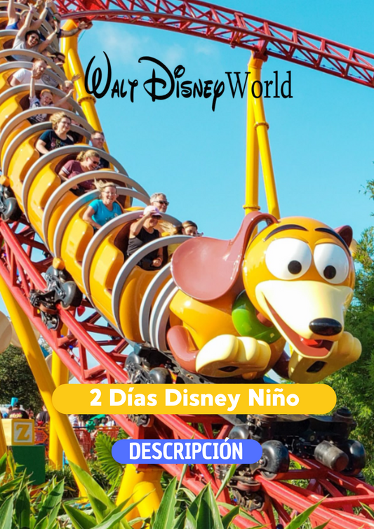 DISNEY 2 DIAS + REGALO NIÑO (3 - 9 años) - CLIC EN EL BOTON DE WHATSAPP PARA MAS INFORMACION! TARIFAS DESDE...