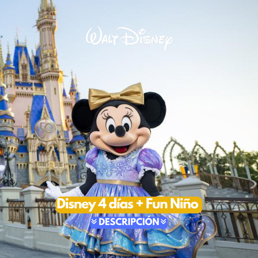 DISNEY 4 DIAS NIÑO 3 A 9 AÑOS