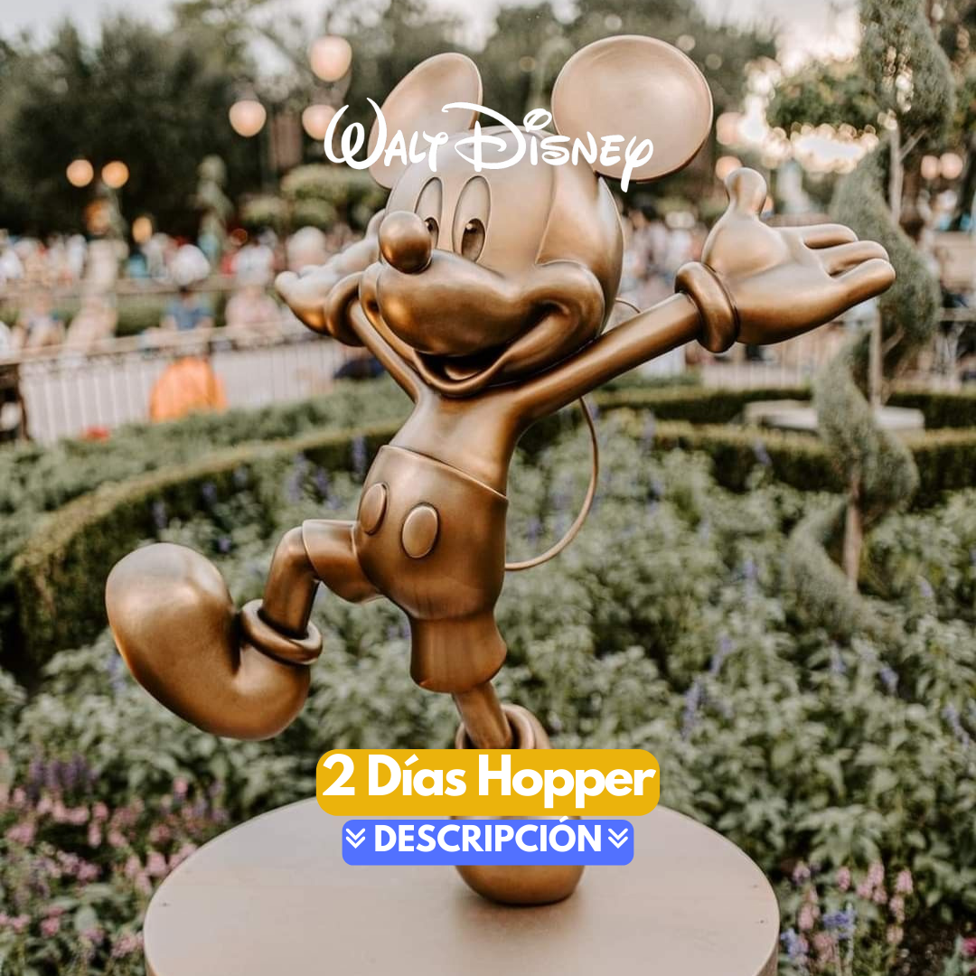 DISNEY HOPPER 2 DIAS LLAMAR PARA VERIFICAR COSTO Y DISPONIBILIDAD AL +1 407-557-8587