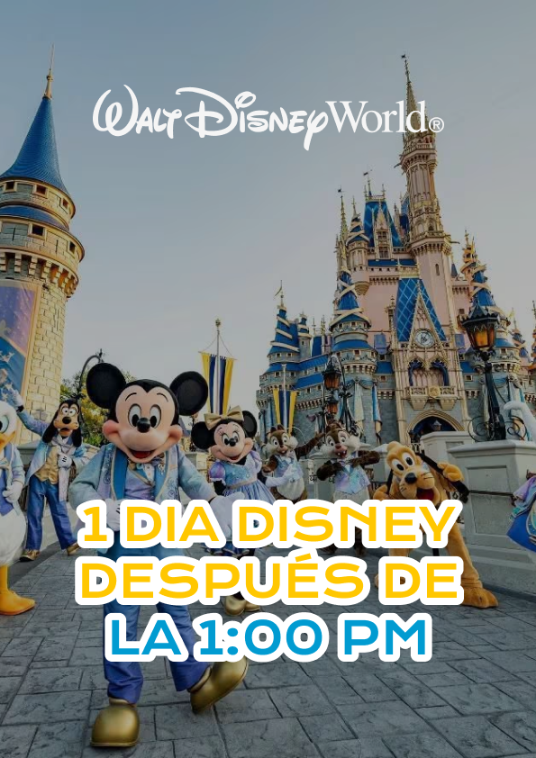 1 Dia Disney  Despues de la 1:00 pm