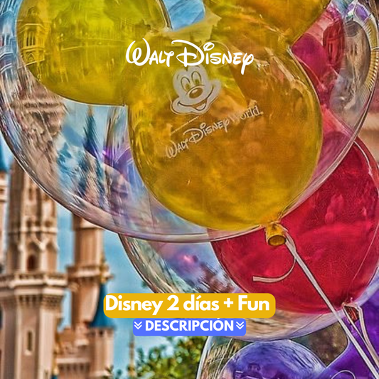 DISNEY 2 DIAS