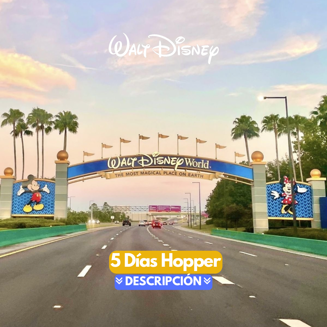 DISNEY HOPPER 5 DIAS