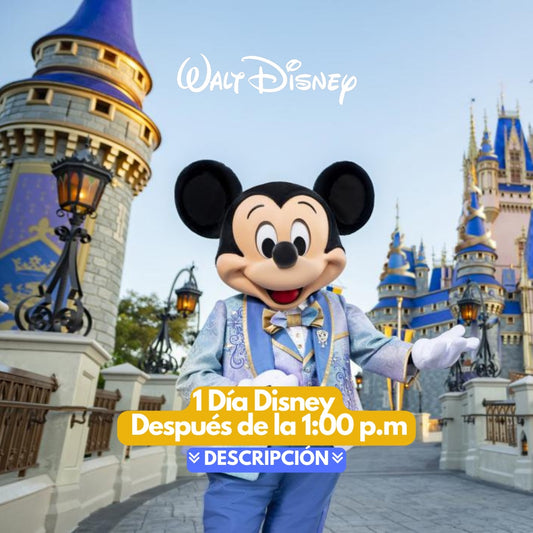 1 DIA DISNEY INGRESO 1 PM