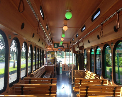 I-RIDE TROLLEY - PASE PARA 14 DÍAS