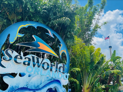 SEAWORLD + AQUATICA